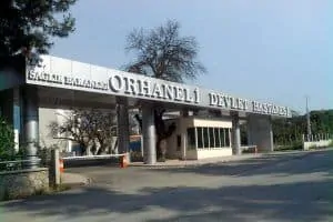 MHRS Bursa Orhaneli Devlet Hastanesi Randevu Alma