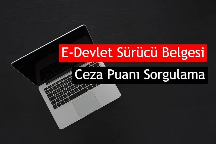 E-Devlet Sürücü Belgesi Ceza Puanı Sorgulama İşlemleri