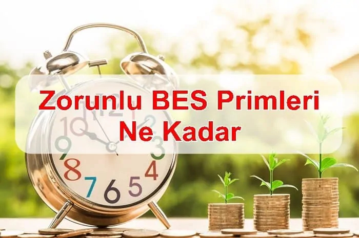 2019 Zorunlu BES Primleri Ne Kadar