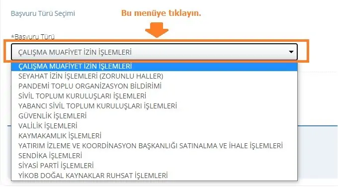 edevlet basvuru turu secimi
