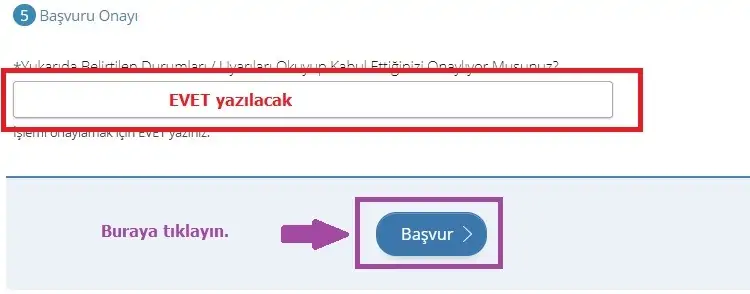 edevlet calisma izni basvuru onayi