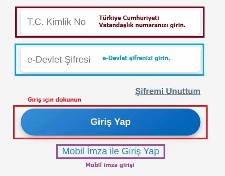 edevlet uygulama girisi