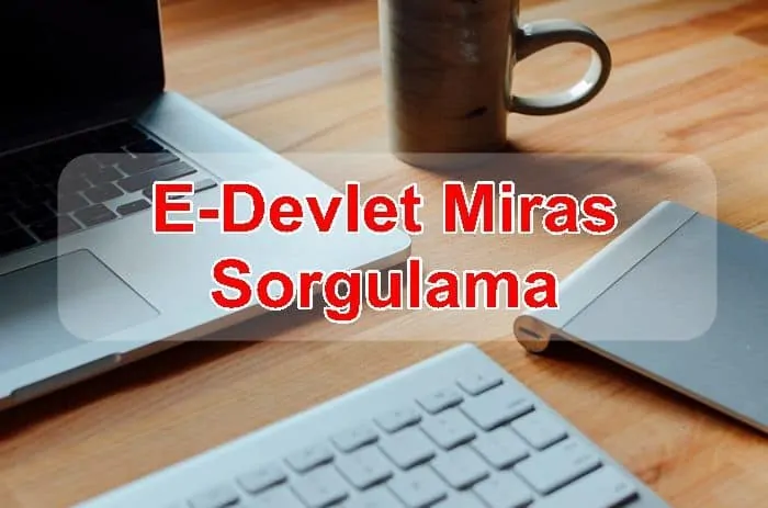 E-Devlet Miras Sorgulama Nedir Nasıl Yapılır?