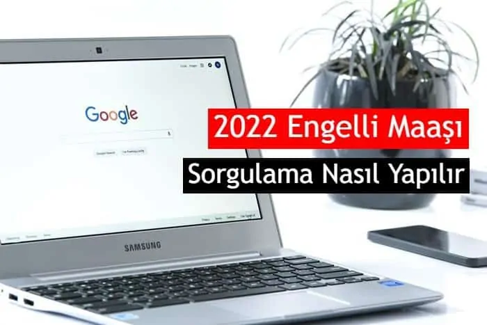 T.C No ile Engelli Maaşı Sorgulama E-Devlet