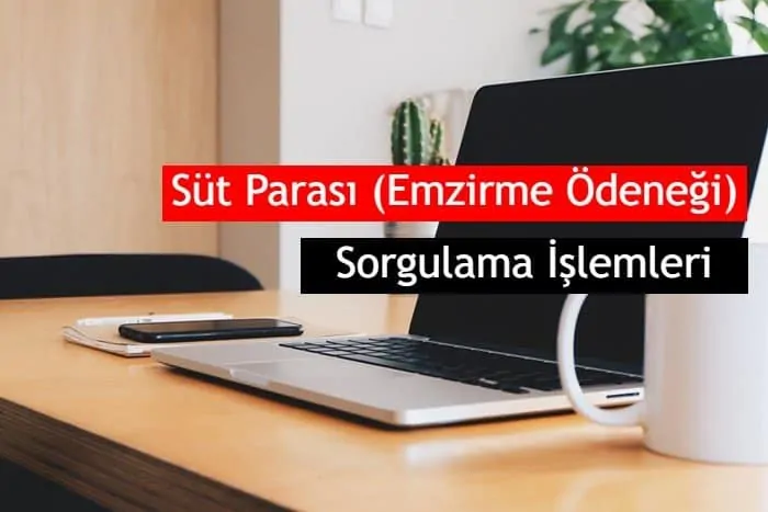 E-Devlet ve PTT Süt Parası (Emzirme Ödeneği) Sorgulama