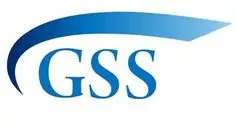 gss 1 1