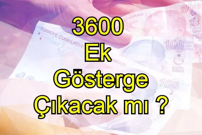 2020 Yılında 3600 Ek Gösterge Çıkacak mı ?