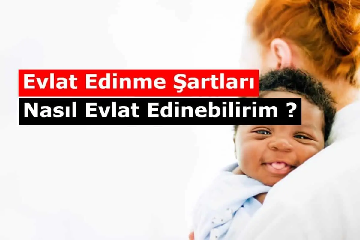 Evlat Edinme Şartları, Nasıl Evlat Edinebilirim?