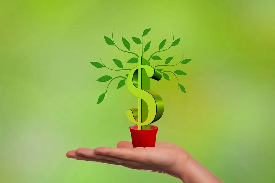 Merkez Bankası; Faizleri Serbest Olarak Belirlenecek!