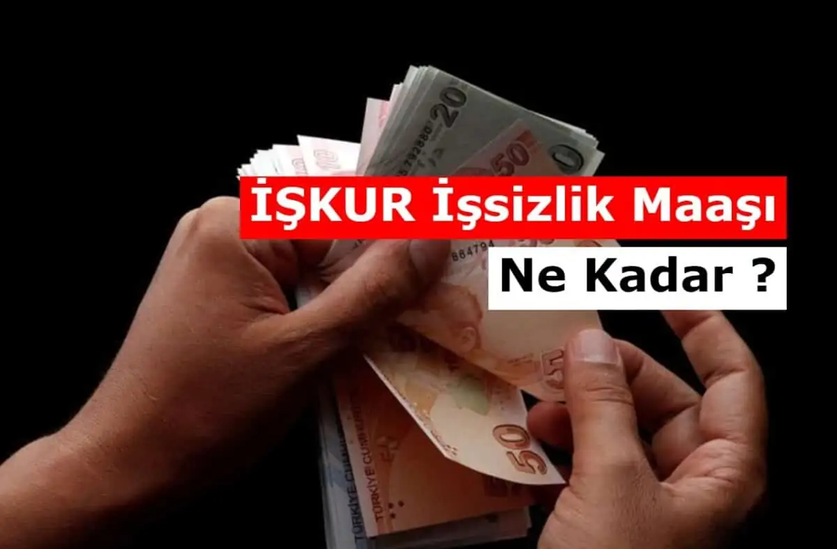 2025 İşsizlik Maaşı Ne Kadar Oldu? Başvurusu, Şartları