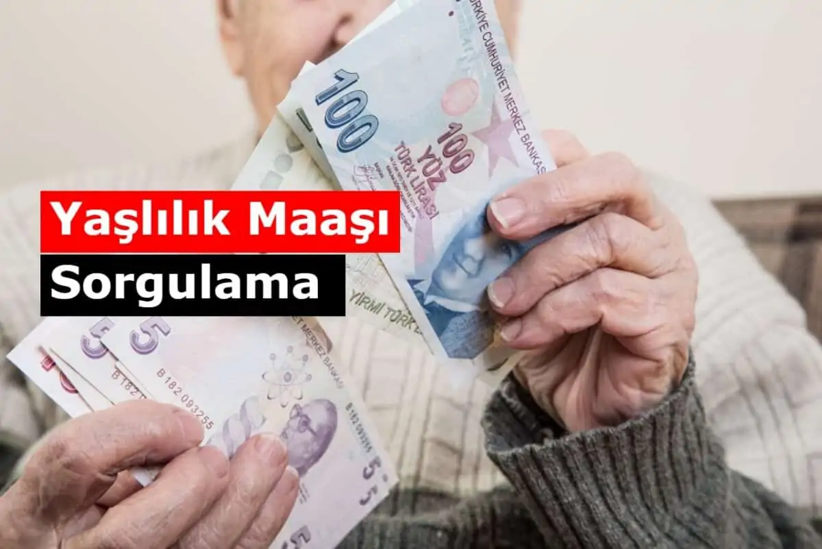 PTT 65 Yaş Yaşlılık Maaşı (Aylığı) Sorgulama E-Devlet