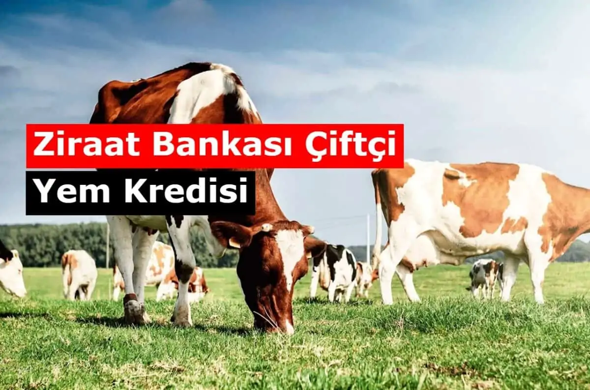 Ziraat Bankası Çiftçi Yem Kredisi 2021 Kasım Faizleri