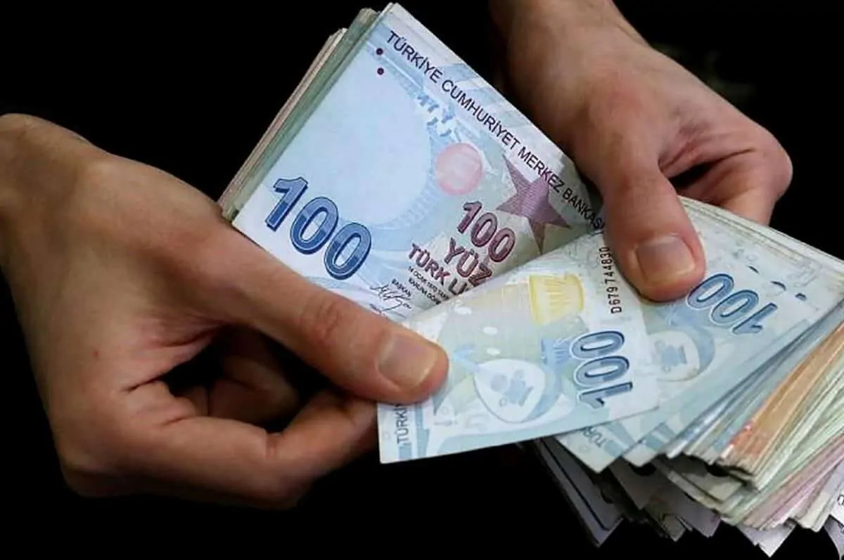 Buzağı Destek Ödemeleri Ne Zaman Yapılacak, Nasıl Alınır?