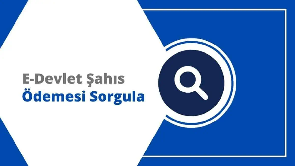 Şahıs Ödemelerini Sorgulama ve Görüntüleme E-Devlet