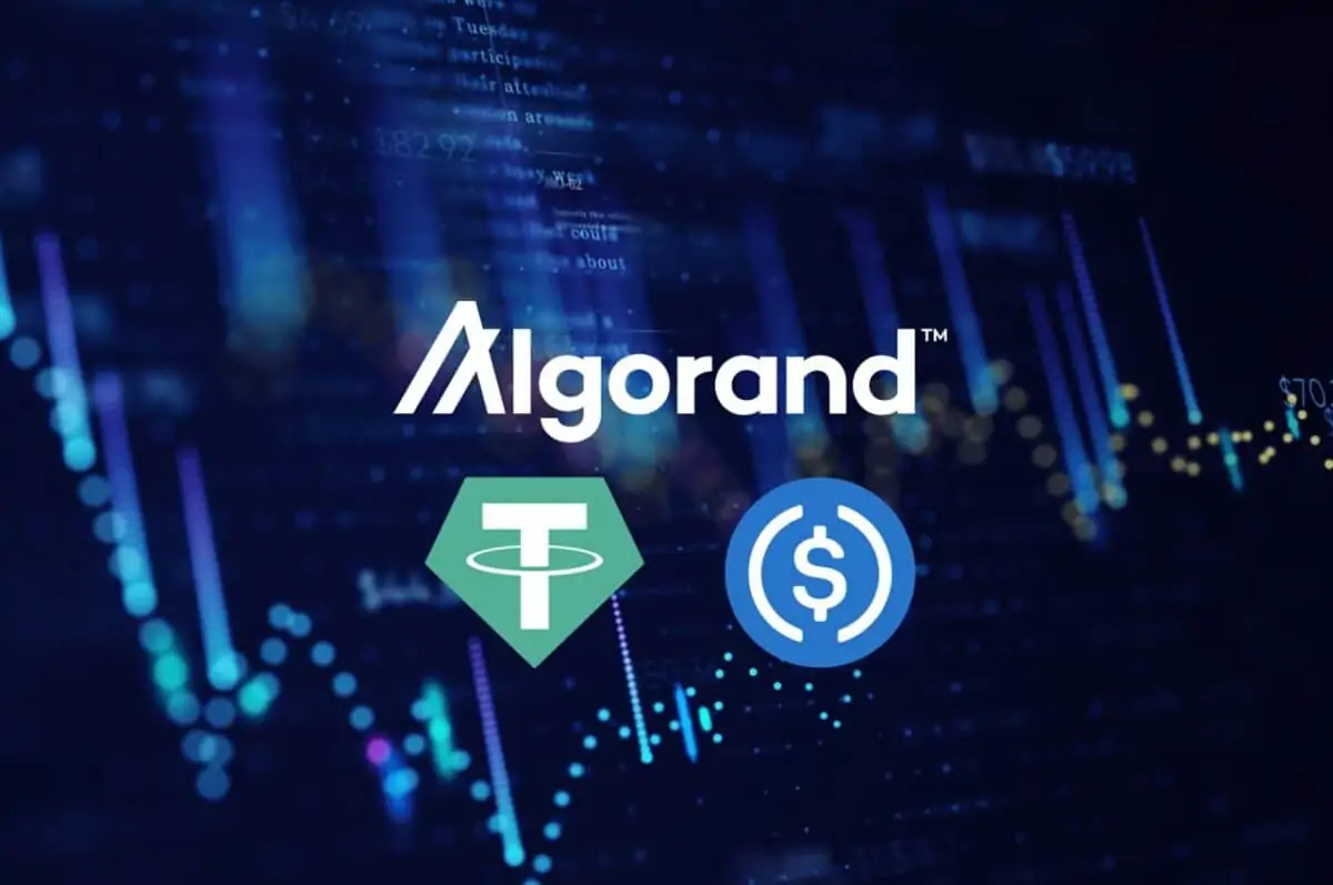 Algo Coin Nedir, Nasıl Alınır? Geleceği