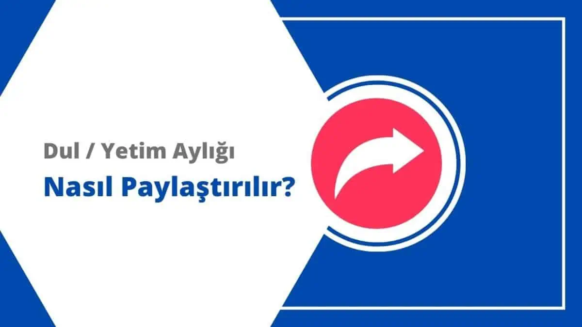 Ölüm (Dul ve Yetim) Aylığı Nasıl Paylaştırılır?