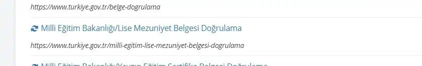 öğrenci belgesi doğrulama listesi