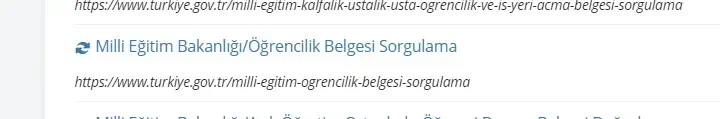 milli eğitim bakanlığı belgesi sorgulama