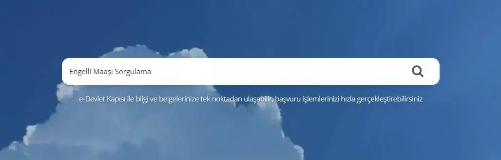 e devlet engelli maasi sorgulama