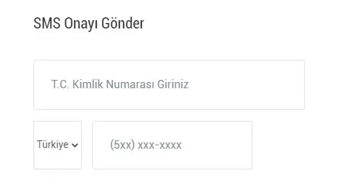 e-nabiz şifremi unuttum sms onayı