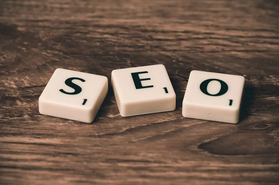 seo ile para kazanma