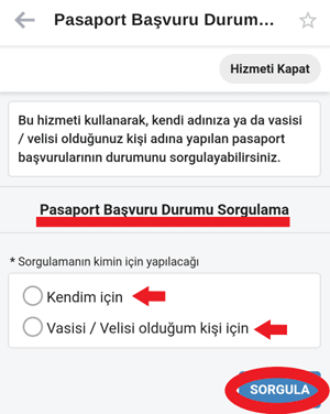 pasaport basvuru durumu