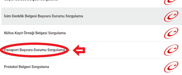 pasaport basvuru durumu2