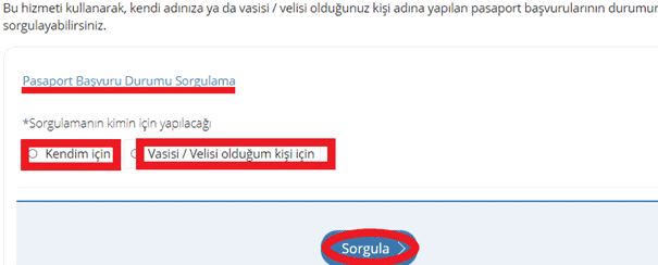 pasaport edevlet sorgulama2