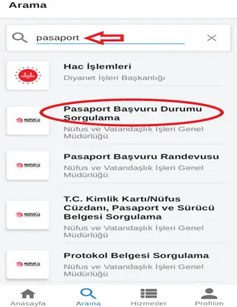 pasaport edevlet sorgulama3