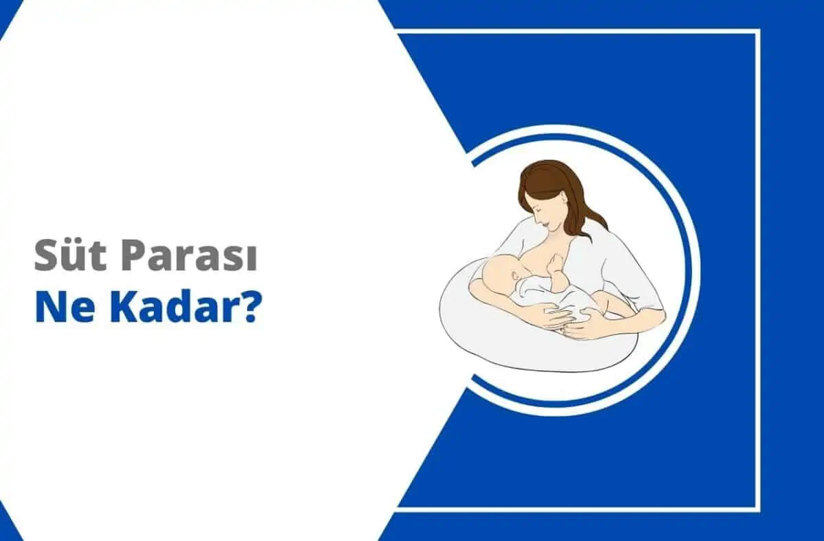 2024 Süt Parası Ne Kadar? Başvuru Şartları