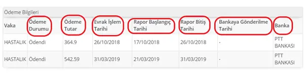 rapor parasi sorgulama edevlet1