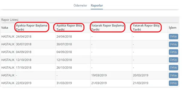 rapor parasi sorgulama edevlet2