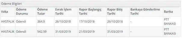 sgk rapor edevlet5