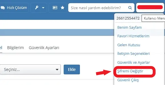 e devlet sifre degistirme ekrani