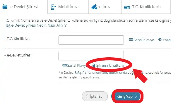 e devlet sifre unuttum ekrani1
