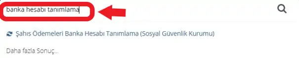 edevlet banka hesabi tanimlama3