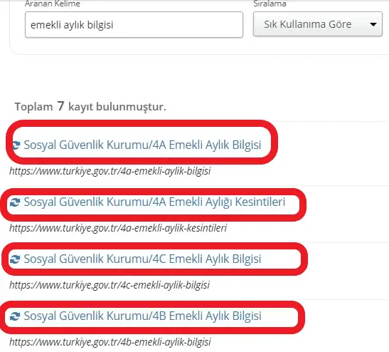 emekli maasi hesaplama ekrani6