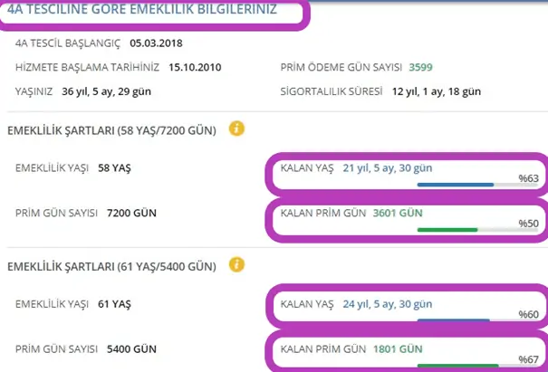 emeklilik basvuru ekrani edevlet3