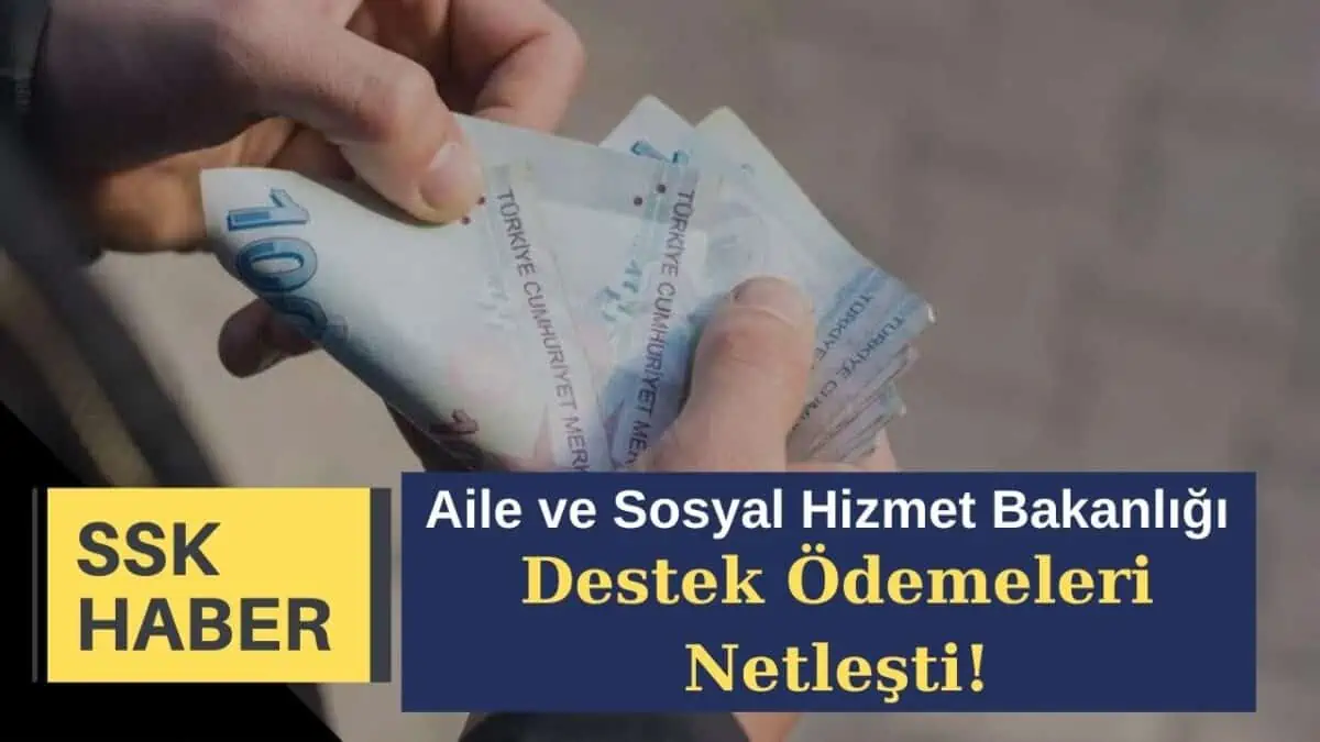 2023 Şubat Ayı Aile ve Sosyal Hizmet Bakanlığı Destek Ödemeleri Netleşti!