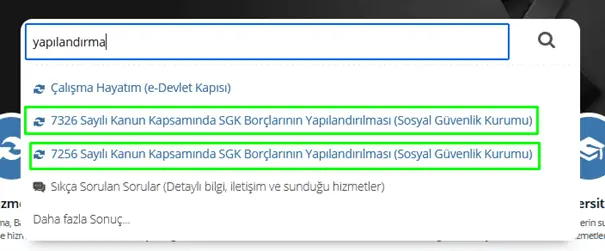 trafik cezasi yapilandirma edevlet ekrani2