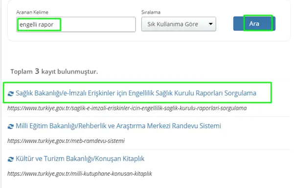 engelli raporu ekrani1