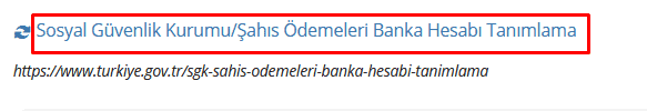 ev hanimi edevlet12