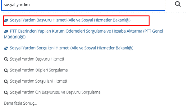 ev hanimi edevlet3
