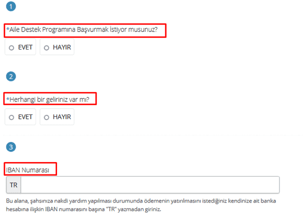 ev hanimi edevlet6