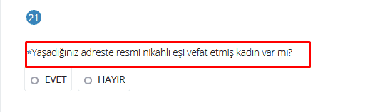 ev hanimi edevlet7