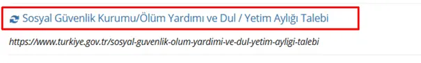 ev hanimi edevlet8