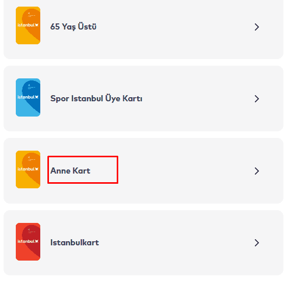 ibb anne kart basvurusu7