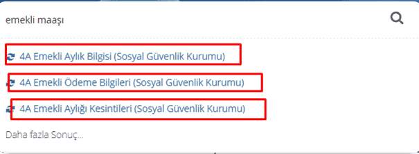 e devlet emekli maasi
