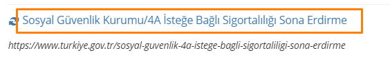istege bagli emekli5