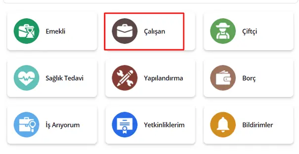 e devlet calisan1